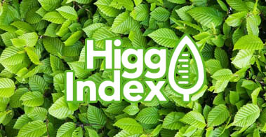 Higg Index
